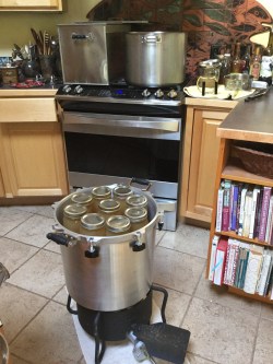 017571a731748ea01817f645854c8e3b6fa3eb4817