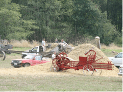 Barley Harvest