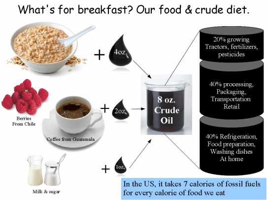 Food and crude diet graphic