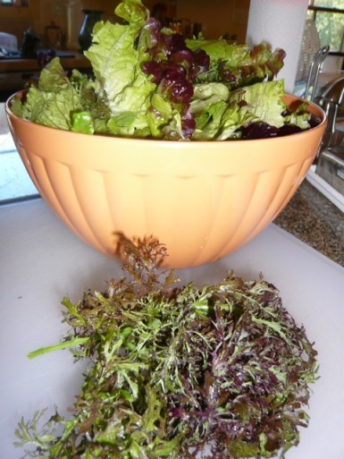 Frizzy Lizzy my favorite!