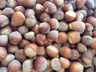 hazelnuts from Ronni and Levi's farm