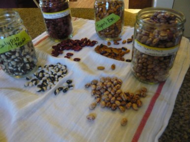 Local beans - jewels of the pantry