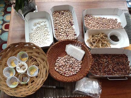 seed saving