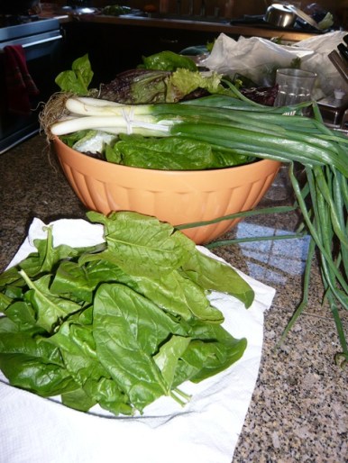 What a lot of Greens