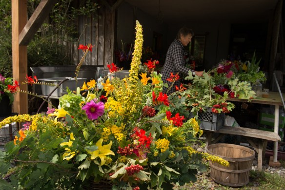 Photograph by Steve Horn