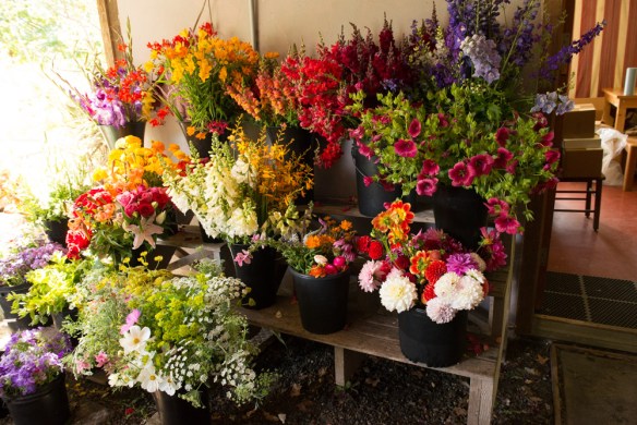 Photograph by Steve Horn