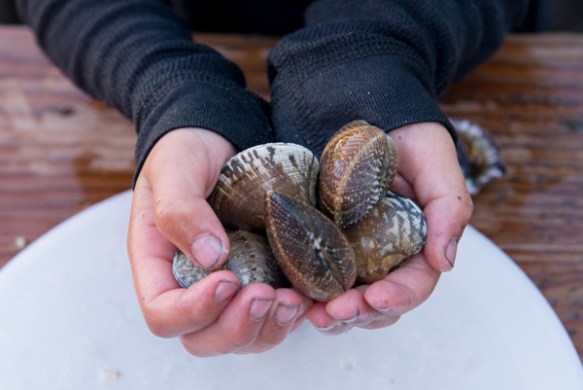 Photograph by Steve Horn