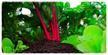 4f4a6dae-6e0b-4fb6-b8ad-9a9f16cc0335