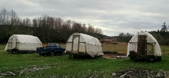 wpid-img_20150210_095341